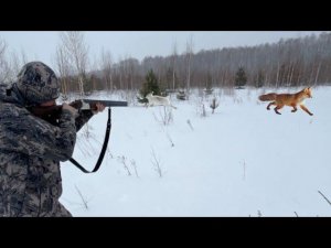 Зрелищные Выходы Зверей. Шикарный день на Охоте зимой!!!