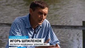 Заповеднику Брянский лес 25 лет, 2012