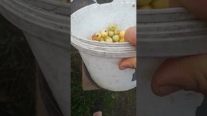 Траворезка своими руками