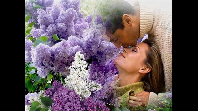 "Дорогой мой цветок" автор, исполнитель Болеслав Войшко смотреть онлайн