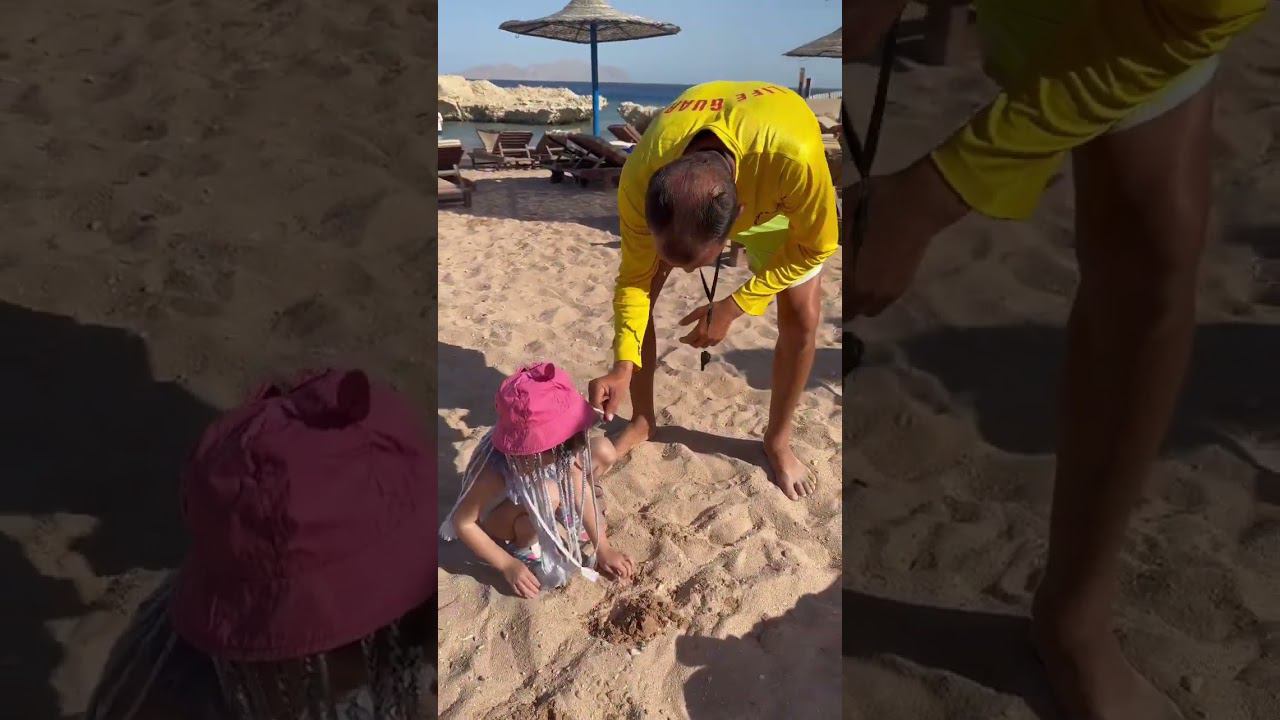 разговаривает как миньон  шармэльшейх в январе ️ #египет #египетзимой #египет2023