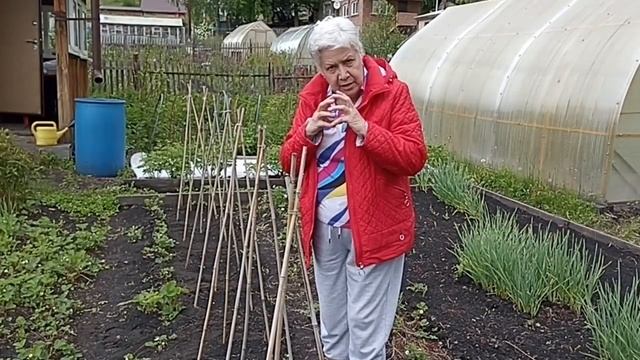 545. Домик для гороха и прочих вьющихся. смотреть онлайн