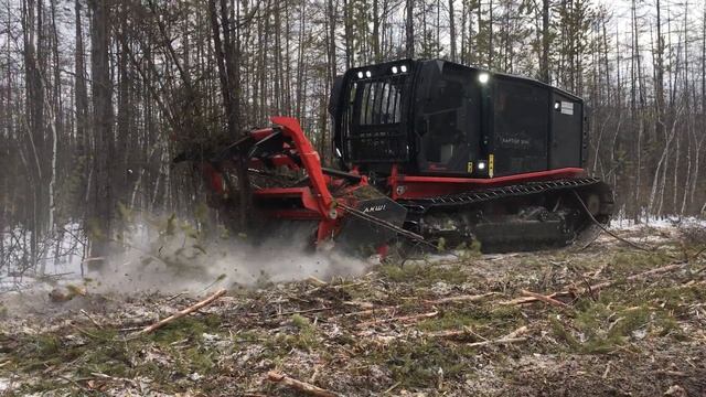 Prinoth Raptor 300 очистка линий электропередачи!!!#мульчер #линииэлектропередачи