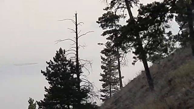 На природе.Река Лена.Мифический табун лошадей. смотреть онлайн