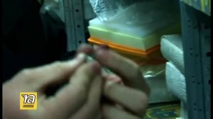 Запчасти Рено