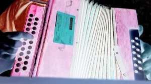 ДДТ Просвистела и упала разбор на гармони хромке песни авт. Юрий Шевчук учит играть Евграф Самолёто