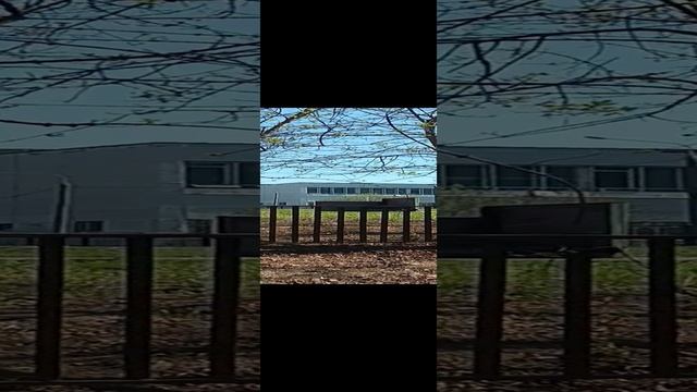 20230421_111336.mp4