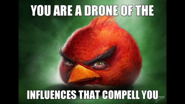 my offensive, cryptic, and bad realistic angry birds memes: 4th edition смотреть онлайн