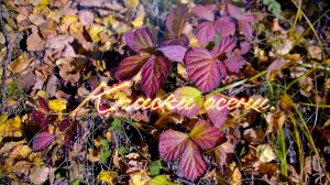 КРАСКИ ОСЕНИ.