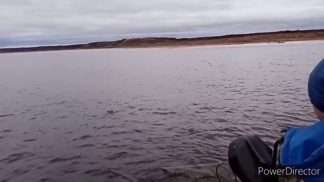 Проверка сети. ОГРОМНЫЙ ТАЙМЕШАРА РВЕТ СЕТЬ!!!
