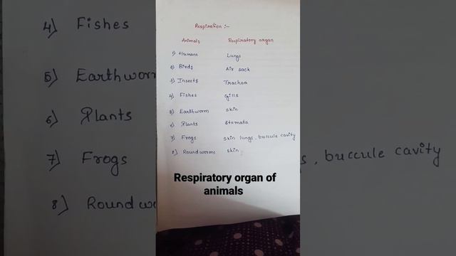 Respiratory organs of animals