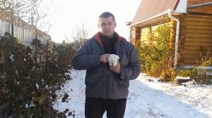 Можно гулять с кроликом на улице зимой?