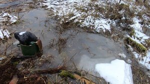 Приплыли. Чем пахнет в деревне? / Из Москвы в деревню 15