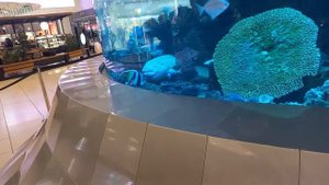 «авиапарк тц москва самый большой аквариум в мире»