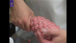 Производство колбасы. Шприц вакуумный роторный Frey С55