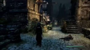 Skyrim: Fuck Guards