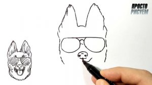 Как нарисовать ОВЧАРКУ просто