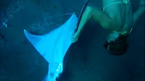 наталья молчанова спасение манты