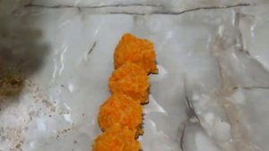 Котлеты морковные