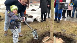 Аллея выпускников появилась в Отрадном