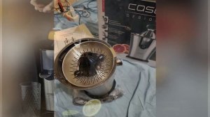 Соковыжималка Caso CP 300