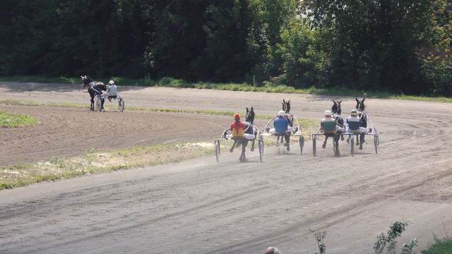 31.07.2021г.Абаканский Ипподром Приз Сорренто Рысистых пород 4-х лет и старше 2400м