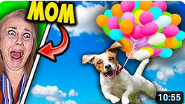 BEST Wigofellas PRANKS on MOM - Wigofellas Pranks on Girlfriend - Wigofellas Pranks TikTok - DAY 10