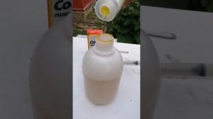 Народное средство от тли на розах