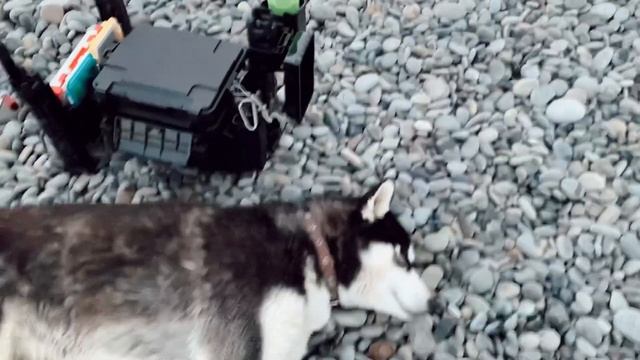 Фестиваль «Рокфишинг мания» Широкая балка, Новороссийск. Чёрное море. 27 марта. смотреть онлайн