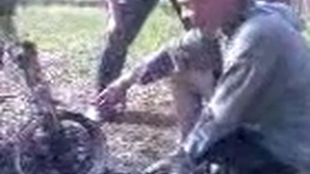 Тачка на пракачку.3gp смотреть онлайн