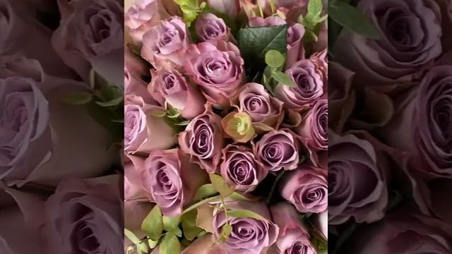 БУКЕТ С РОЗАМИ МЕМОРИ ЛЕЙН - 51 Роза Memory Lane (Мемори Лейн) смотреть онлайн