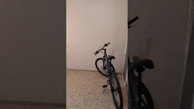 Появилась квартирка в самом центре. смотреть онлайн