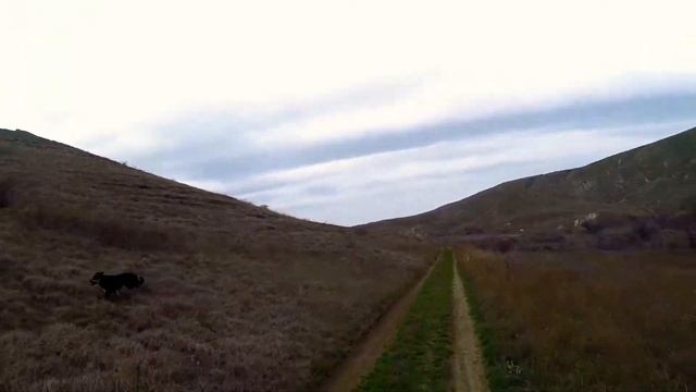 Карадаг Трейл | Первый ультрамарафон | Штурмуем Карадагский Заповедник смотреть онлайн