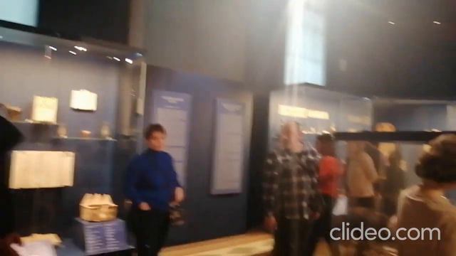 25 02 2024 г - Москва. Пушкинский музей смотреть онлайн