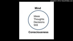 What is Consciousness? What is the difference between the brain and the mind Romans 9:1