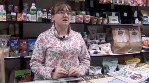 Дачный сезон  Виды и сорта томатов