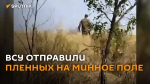 ВСУ отправили пленных российских военных на минное поле