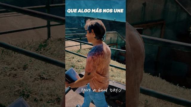 Pequeño adelanto del álbum Perro Cristalino