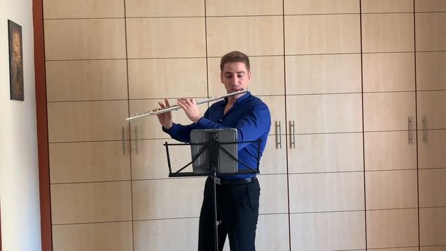 Valerie Coleman. Danza de la Mariposa for flute solo смотреть онлайн