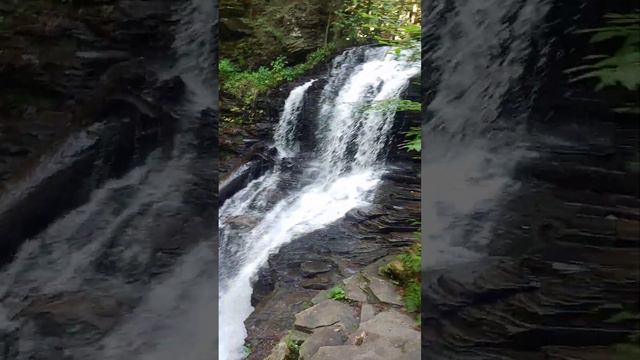 Rickett's Glen Falls Trail, Benton, PA 9/10/22