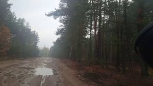 Мещера осенью.