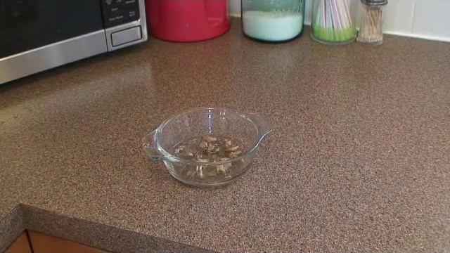 feeding martins смотреть онлайн