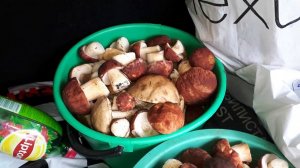 Белые грибы и Боровики. Красный стекловар. Марий Эл.