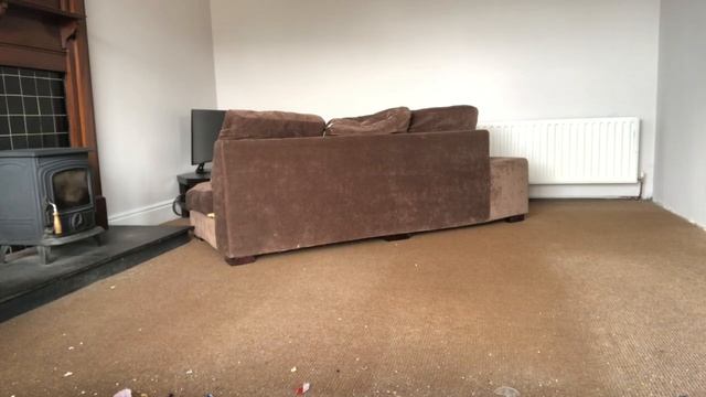 ASMR Sweeping carpet. A 1000 subscribers thank you!!!! смотреть онлайн