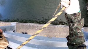 Эти сазаны весь паук подъемник согнули. Рыбалка на паук подъемник с моста в конце осени. #낚시#fishin