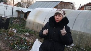 Как ,когда и чем укрывать розы на зиму?