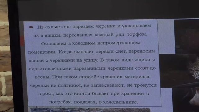 2 ч. "Древесное черенкование" Смирнова Татьяна смотреть онлайн