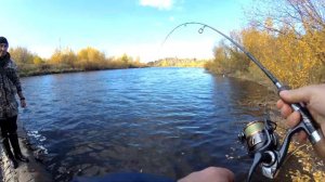 ЛОВЛЯ ОСЕННЕГО ОКУНЯ. МИКРОДЖИГ ПО ХОЛОДНОЙ ВОДЕ.ОКУНЬ КРАСАВЧИК🐟🐟🐟.