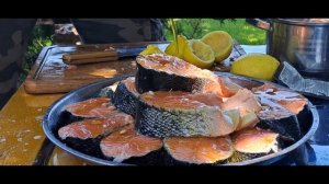 ЛОСОСЬ 7кг ЖАРИМ СТЕЙКИ на МАНГАЛЕ ГРИБЫ ГРИЛЬ ШАШЛЫК на РЕШОТКЕ #мангал #гриль #лосось #днепр #ok