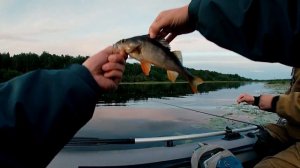 Сплав. Река Юрас, Архангельск